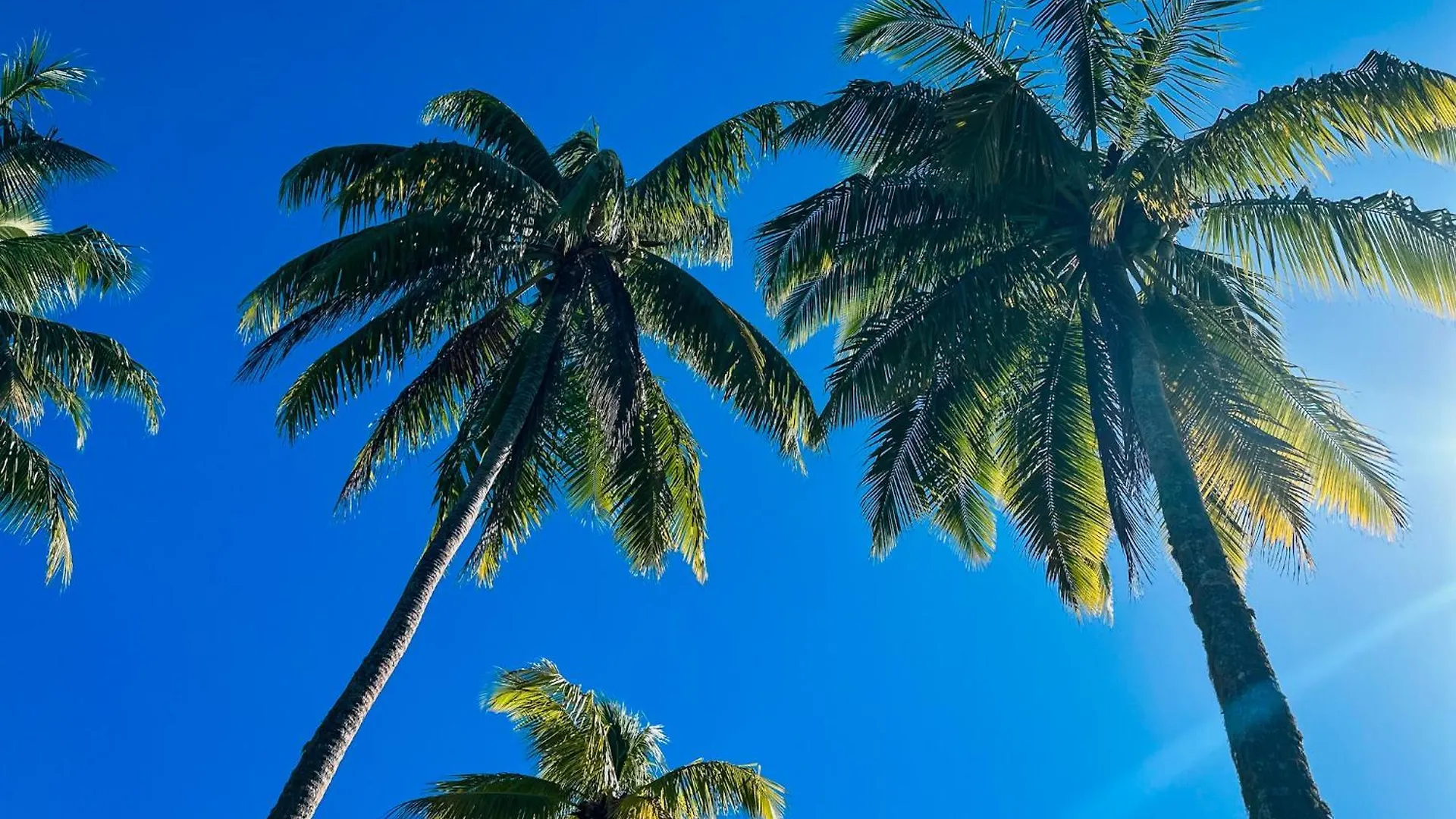 ***** Guest house Villa Mitirapa Tohautu French Polynesia