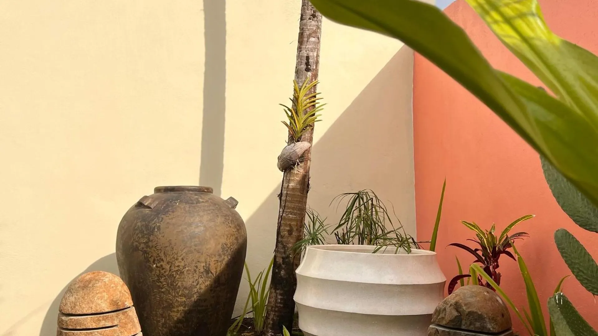 Guest house Villa Mitirapa Tohautu